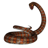 Вижте прогонване на змии 33