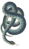 Намерете репелент за змии 28