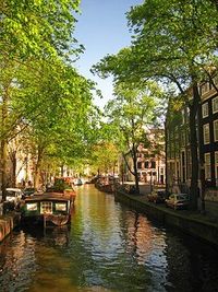 екскурзия до амстердам - 11226 разновидности