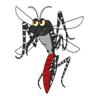Insektenschutzrollo - 55138 Nachrichten